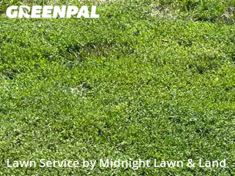 Grass Cut nearby Bellevue, NE, 