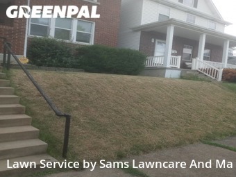 Lawn Care nearby St. Louis, IL, 
