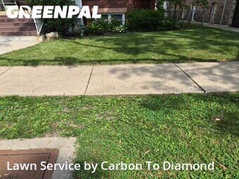 Lawn Care Service nearby Oak Park, IL, 