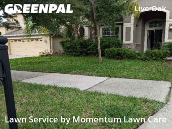 Lawn Service nearby Tampa, FL, 