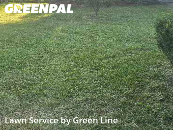 Yard Mowing nearby Bolingbrook, IL, 