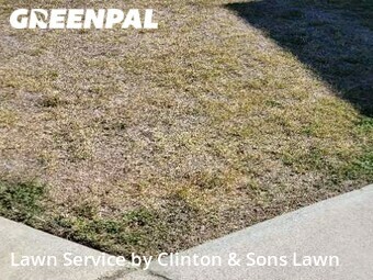Lawn Mow nearby San Antonio, TX, 