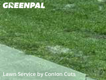 Lawn Cutting nearby Bradenton, FL, 