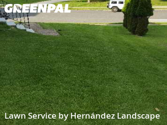 Yard Cutting nearby Springfield Township, PA, 