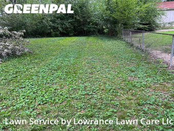 Lawn Cut nearby Blue Springs, MO, 