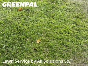 Lawn Maintenance nearby Poinciana, FL, 