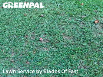 Yard Cutting nearby Atlanta, GA, 