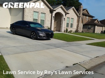 Lawn Cut nearby Harvey, LA, 