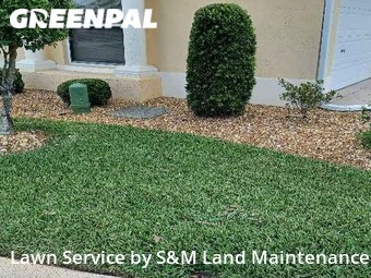 Lawn Mowing Service nearby The Villages, FL, 