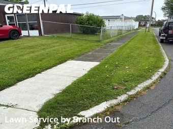 Landscaping Maintenance In Buffalo,14219,Landscaping Cleanup by Branch Out, work completed in Jun , 2026