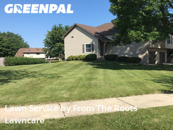 Grass Cut nearby Streamwood, IL, 