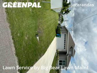 Lawn Cut nearby Cape Coral, FL, 