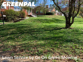 Lawn Mow nearby Roanoke, VA, 