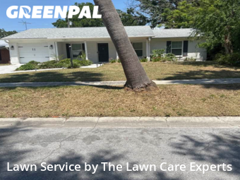 Lawn Mow nearby Lakeland, FL, 