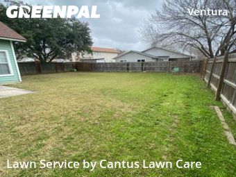 Grass Cut nearby San Antonio, TX, 
