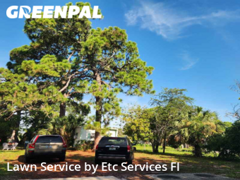 Grass Cutting nearby St. Petersburg, FL, 