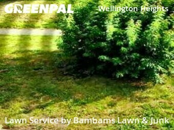 Lawn Mowing Service nearby Cedar Rapids, IA, 