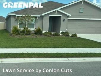 Yard Mowing nearby Palmetto, FL, 
