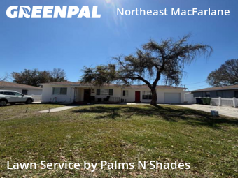 Lawn Mow nearby Tampa, FL, 