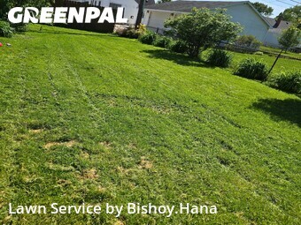 Lawn Mow nearby St. Clair Shores, MI, 