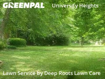 Lawn Service nearby Springfield, MO, 