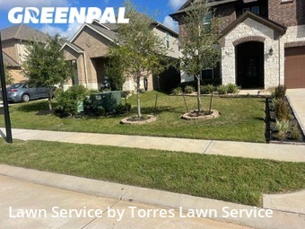 Lawn Cut nearby Shenandoah, TX, 
