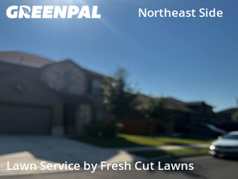 Lawn Cutting nearby Converse, TX, 