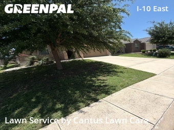 Lawn Cutting nearby Converse, TX, 