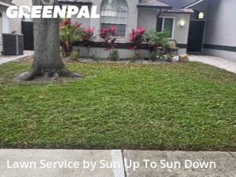 Yard Cutting nearby Clearwater, FL, 