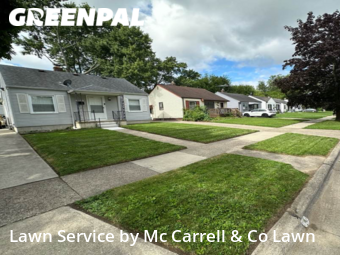 Yard Mowing nearby Harper Woods, MI, 