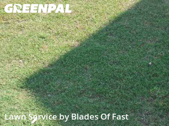 Work completed by residential-lawn-cutting-businesses-in-Union City-CA