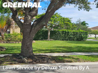 Mowing Services in Parkland, 33076, Grass Care by Deluxe Services By A, work completed in Dec , 2025