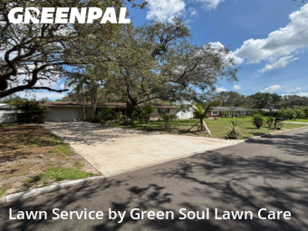 Lawn Cut nearby Temple Terrace, FL, 