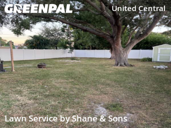 Lawn Cut nearby St. Petersburg, FL, 