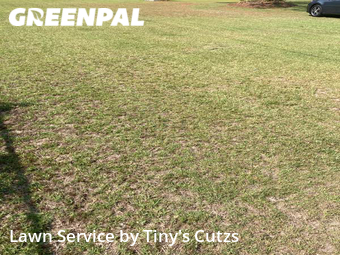 Lawn Care nearby Valdosta, GA, 