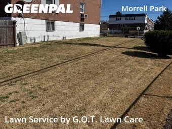 Grass Cut nearby Philadelphia, PA, 