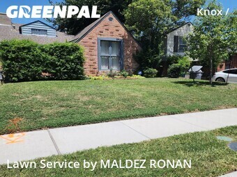 Yard Cutting nearby Dallas, TX, 