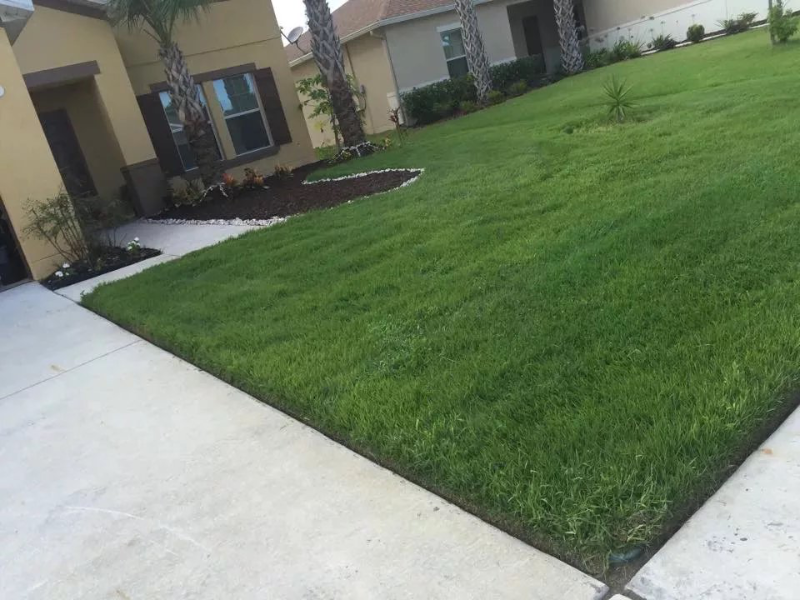 Estevezllawnservices Lawn Care Services in Kissimmee, FL