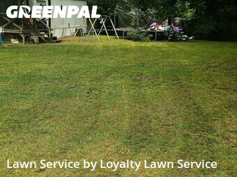 Lawn Cut nearby Rossville, TN, 