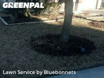 Lawn Care nearby Georgetown, TX, 