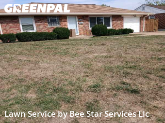 Grass Cutin Affton,63123,Lawn Mowing Service by Bee Star Services Llc, work completed in Oct , 2025