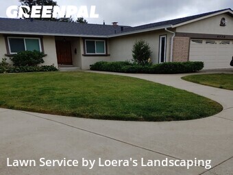 Work completed by lawn-care-experts-near-me-in-Concord-CA