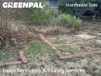 Grass Cutin Converse,78109,Lawn Mow by A.S Lawn Services, work completed in Feb , 2026