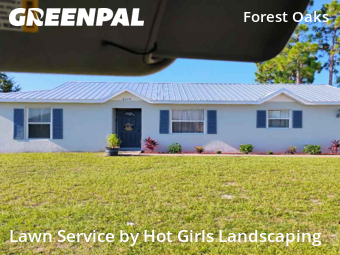 Lawn Mowing nearby Spring Hill, FL, 