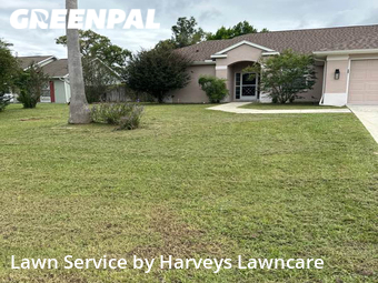 Yard Cutting nearby Spring Hill, FL, 