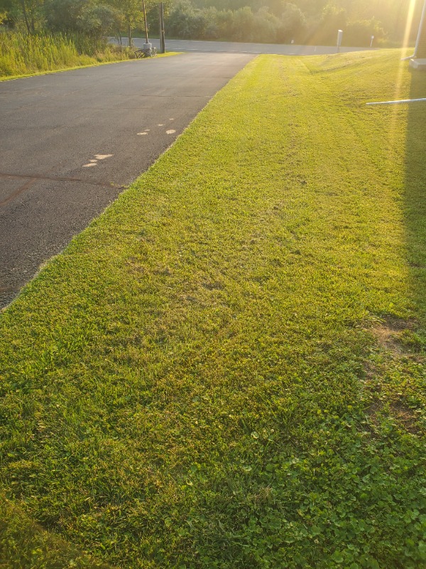 Oscar Bolanos Lawn Care Services in Endicott, NY