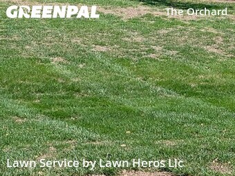 Yard Mowing nearby Greensboro, NC, 