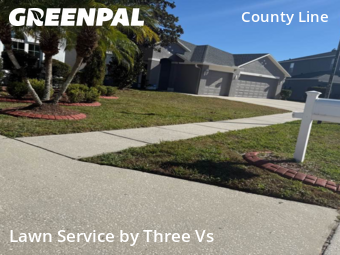 Local Lawn And Landscape Maintenance Services Near Me In Tampa,33647,Landscaping Maintenance by Three Vs , work completed in Feb , 2026