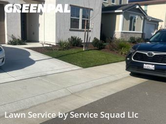 Landscaping Renovation In Roseville,95747,Landscaping Cleanup by Service Squad Llc , work completed in Jan , 2026
