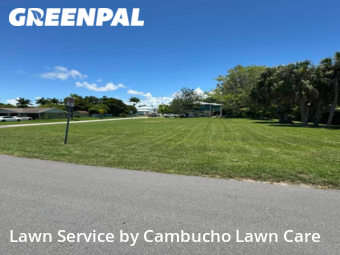 Lawn Cut nearby Palmetto, FL, 